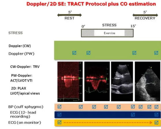 Fig. 1    The study protocol  with assessment of TRV and  ACT for SPAP estimation, and  cardiac output with Doppler/2D  method