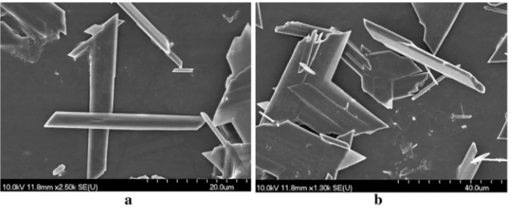 Fig. 4   SEM picture of the precipitated and dried solid from the reaction of  Na 2 SO 4(aq) + CaCl 2(aq) + 2H 2 O → 2NaCl (aq) + CaSO 4 ⋅ 2H 2 O (S)  with equimolar initial reactant  concentrations of a 0.06 M and b 0.1 M