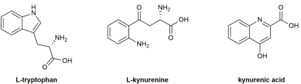 Figure 1. Chemical structure of L-tryptophan, L-kynurenine and kynurenic acid. 
