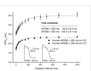 FIGURE 3 | Comparing human ventricular action potential duration restitution curves based on the amplitude of phase 1 repolarization