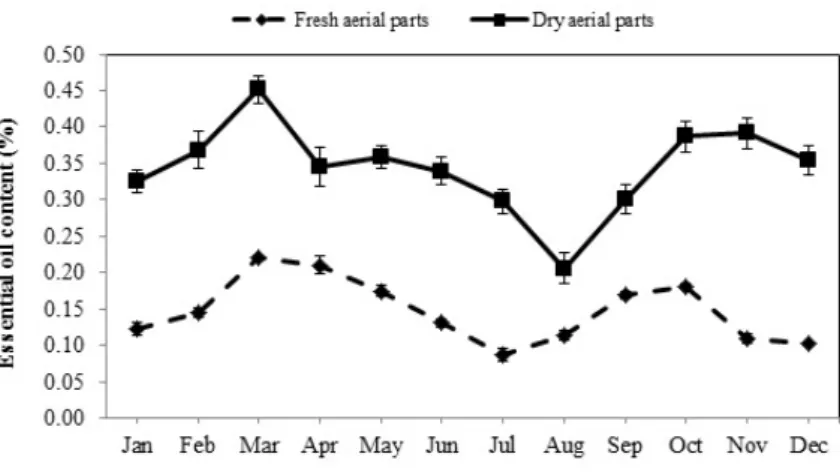Figure 1. The seasonal variation of the essential oil content extracted from fresh and dried aerial parts  of Arabian lilac