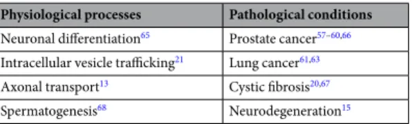 Table 1.  Implications of Lemur tyrosine kinase 2 (LMTK2) in physiological and pathological processes.
