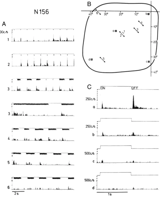 Fig. 2. Responses to small amplitude stimulation (A) and on – off stimulation (C) in different parts of the receptive ﬁ eld (B) of neuron 156 (contralateral eye stimulation)