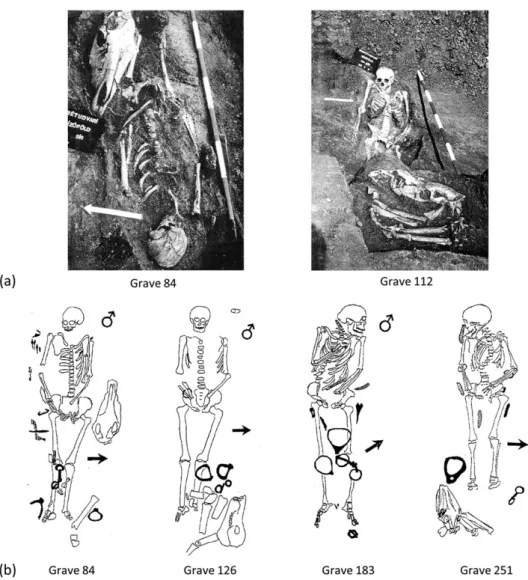 FIGURE 2 Examples of graves from the Hungarian Conquest period cemetery of Sárrétudvari ‐ Hízóföld (10th century) with deposits of horse riding equipment (stirrups, girth buckles, and bits), sometimes associated with horse bones: (a) field photographs and 