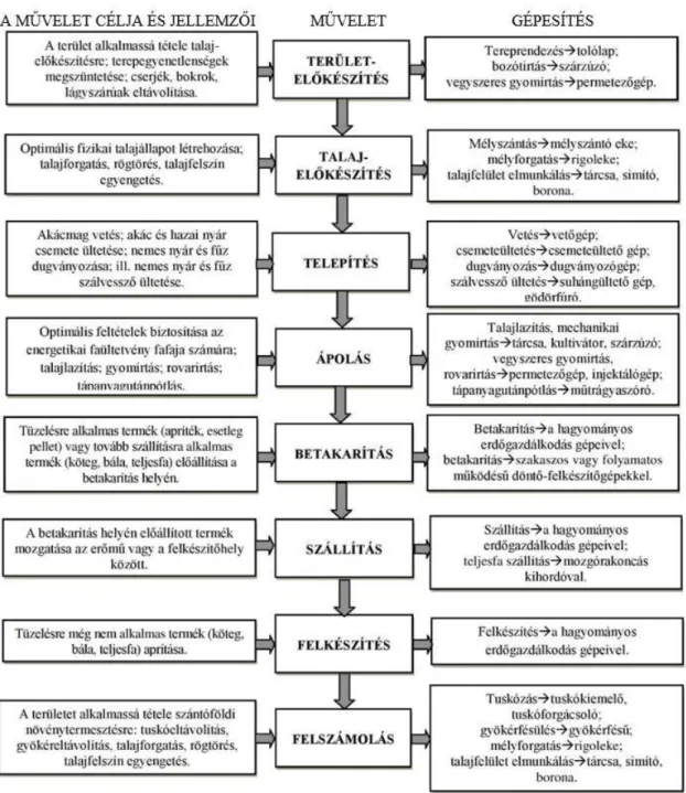 3. ábra: Ültetvények termesztés technológiájának lépései és a hozzá kapcsolódó gépek (Czupy et al., 2012 alapján) 