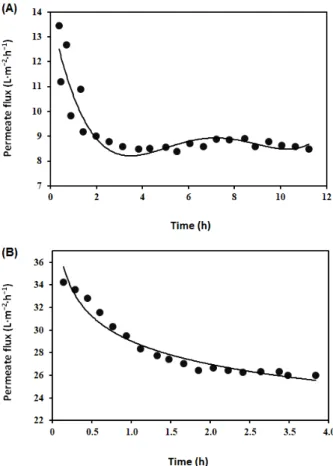 Figure 3. Specific energy consumption and concentration of protein in the retentate side of membrane for different trans-membrane pressures (TMPs) and retention flow rates (RFRs) in static turbulence promoter-implemented filtration process