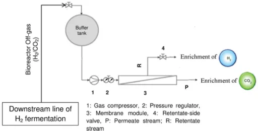 Fig. 6. Possible H 2 fermentation designs for recycling of internal biogas (A) without and (B) with composition adjustment.