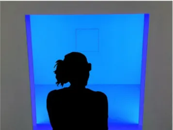 Fig. 2. The work-space of the spectrally tunable lighting booth (Blue masking  environment)