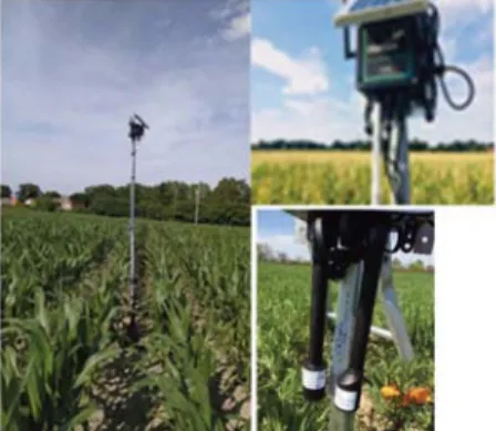 Figure 2. Installed sensors in a research crop field (Mosonmagyaróvár, 2019) 