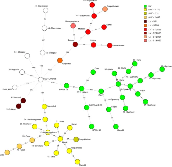 Figure 1. A minimum-spanning tree based on the whole-genome multilocus sequence typing profiles  of 54 Staphylococcus aureus isolates of rabbit origin