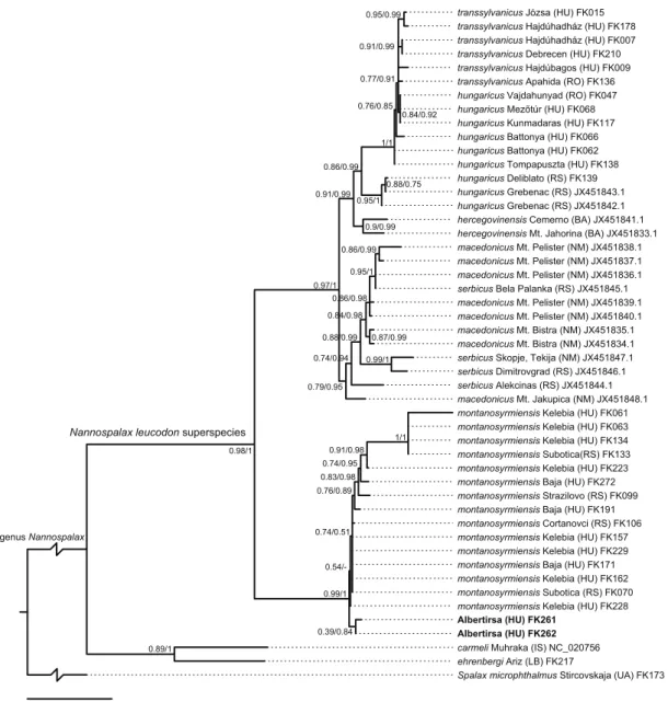 Fig. 3. Phylogenetic relationships of European Nannospalax species based on all currently available whole CYTB  region sequences