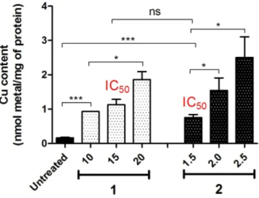 Figure 4. Intracellular Cu accumulation in A2780 cells. A2780 cells were treated with Cu(II) complexes  1 and 2 at 37 °C for 24 h at indicated concentrations (μM), and Cu content was measured by ICP-MS