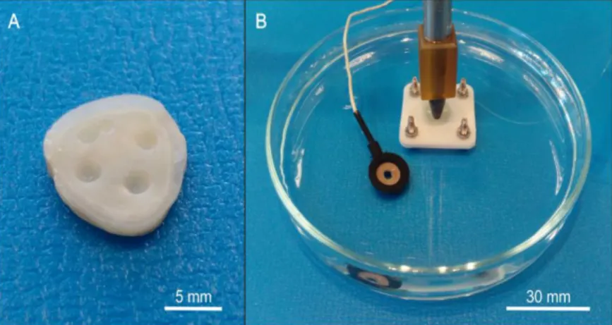 Figure 1. One of the used dentin disks (a) and the assembled arrangement for impedance  measurement in a Petri dish filled with sodium chloride solution (b): the Ag/AgCl  reference electrode, the gently pressed silicone tube with the working electrode with