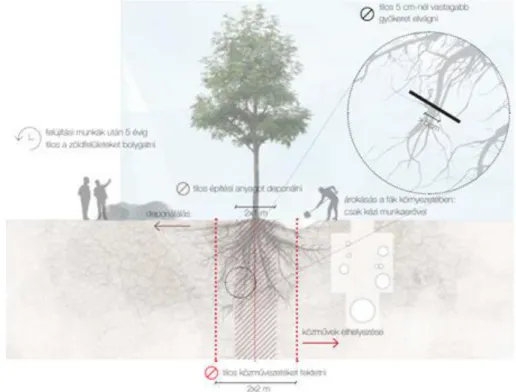 10. ábra: Fák környezetében végzett közműépítés védőtávolságai 