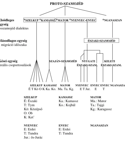 1. ábra A szamojéd nyelvek genealógiája (Helimski 2005 alapján)  E  munka  keretei  között  csak  három  szamojéd  nyelvre  fogunk  koncentrálni,  mégpedig  úgy,  hogy  a  vizsgálat  középpontjába  a  nganaszan  nyelvet  állítjuk