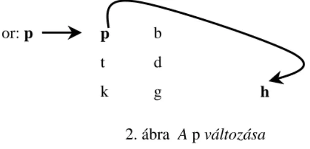 2. ábra  A p változása  2.1.3. A nganaszan magánhangzó-harmónia fellazulása 