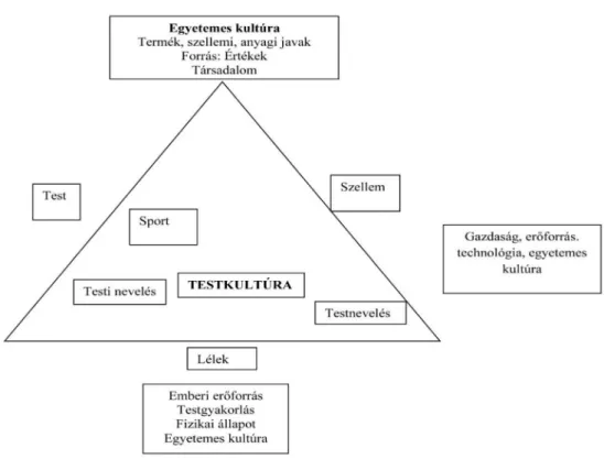 testnevelés) hatása önálló rendszerként épül be az egyetemes kultúrába (2. ábra). 