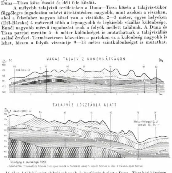 14. ábra. A  talajvízszint alakulása homok- és löszfelszínek alatt a Duna— Tisza közi hátságon