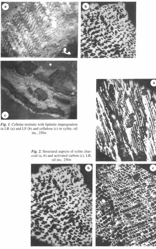 Fig.  1.  Cellular textinite  with liptinite  impregnation  in LR  (a)  and LF (b)  and cellulose  (c)  in  xylite,  oil 