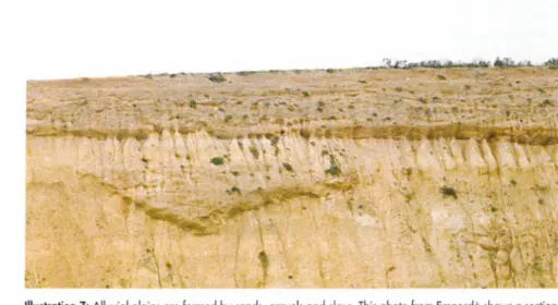 Illustration  7:  Alluvial  plains  are  formed  by  sands,  gravels and  clays.  T h is   photo  from  Empordà  shows a  section  o f sediment  form ing  an  ancient alluvial  plain