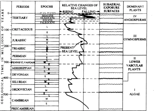 Fig. 4.  Relative global  sea  level  changes,  major known  subaerial  exposure surfaces and  dominant plant groups  during Phanerozoic time (ESTEBAN and  KLAPPA  1983)