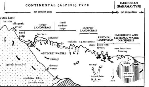 Fig.  9.  Schematic  cross-section  of coastal  surfaces  (ESTEBAN  and  KLAPPA  1983)  a) common zonation across present-day rocky shores b) main features across present-day sedimentary