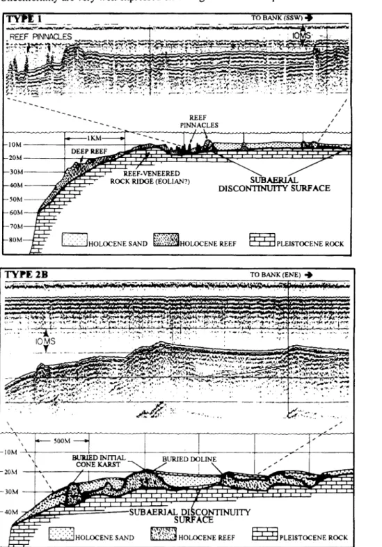 Fig.  14.  Palaeokarstic  interpretation  of rimmed  platform  profiles.  Little  Bahama  Bank  (after  HINE  and  NEUMANN  1977)