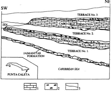 Fig.  20.  Palaeokarst section  in  Punta  Caleta,  East Cuba,  not to  scale  (KORPÁS  and  ITURRALDE VINENT 1992, after MARRERO  1951  and  NAGY et al