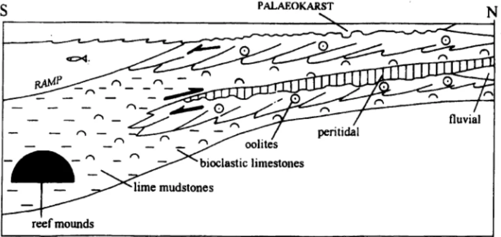 Fig.  21. Simplified  cross-section  of Early Carboniferous  ramp  in  South Wales (WRIGHT  1988)
