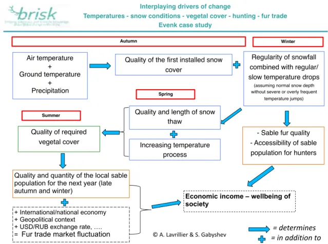 Figure 8.1.  Interplaying drivers of change in Evenk: temperatures, snow conditions, vegetal cover, hunting,   fluctuations in fur trade (Lavrillier &amp; Gabyshev 2014).