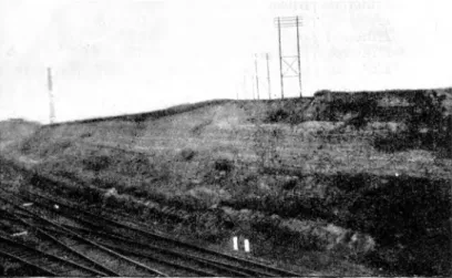 67. ábra.  Lajtamészkő-rétegek feltárása a rákosi vasúti deltában. 
