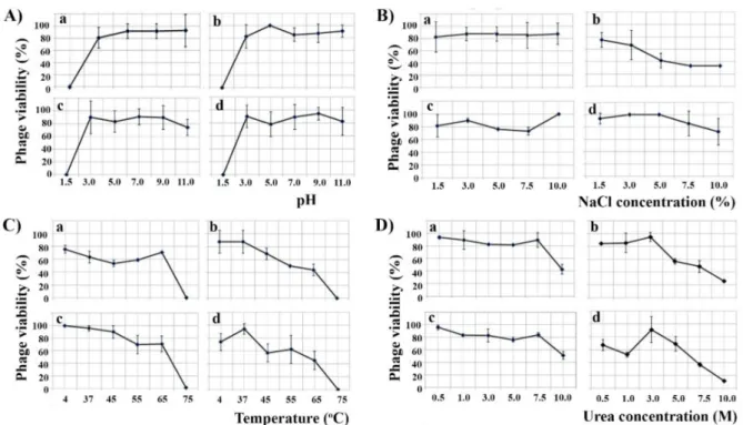 Figure 3. Effect of different pH (A), NaCl concentrations (B), temperatures (C) and urea concentrations (D) on the infectivity of B