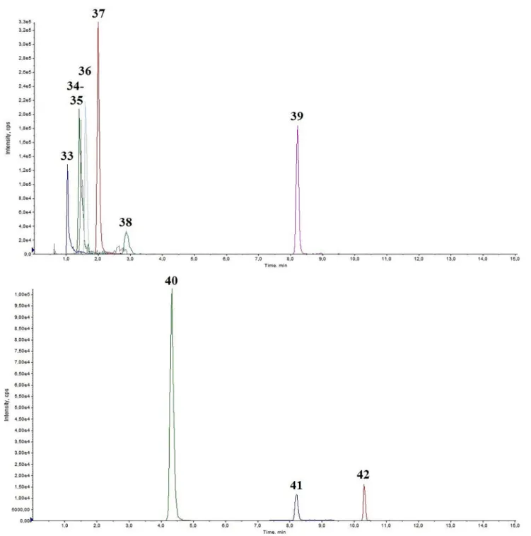 Fig. 3. Representative chromatogram of a medium QC spiked human urine, Part 2. 33: BH4 R t  = 1.04; 34: NH2 R t  = 1.41; 35: NORME R t  = 1.46; 36: SYN R t  = 1.61; 