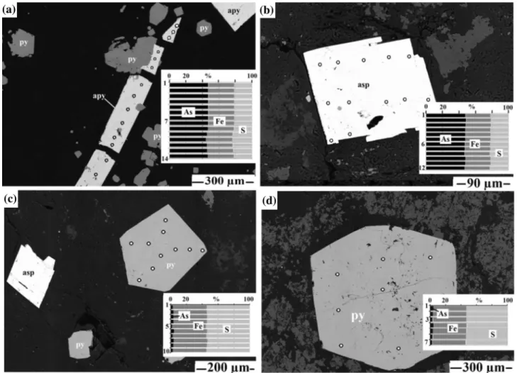 Fig. 7 Photomicrograph of arsenopyrite and arsenian pyrite analysis on the chemical compositions (point analysis) of crystal grains for different textures