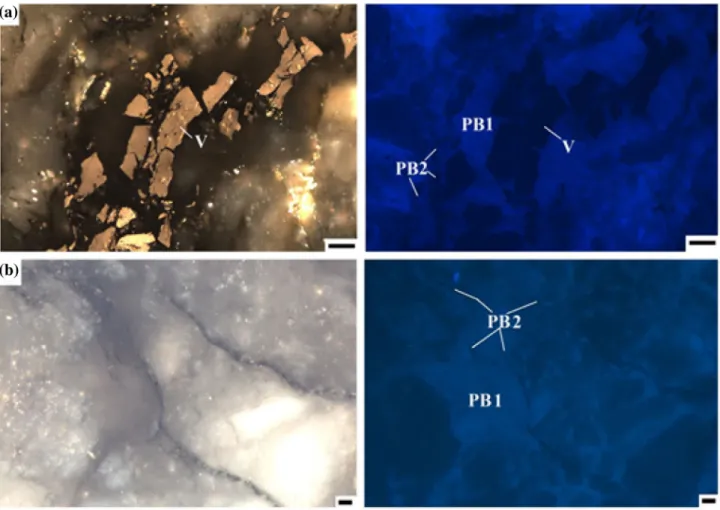 Fig. 4 Photomicrographs of solid pyrobitumen (left is normal reflected light and right is ultraviolet excitation in oil immersion) filling in hydrothermal quartz veins: reworked vitrinite (V) associated with fluorescing brownish grey (PB1) and non-fluoresc