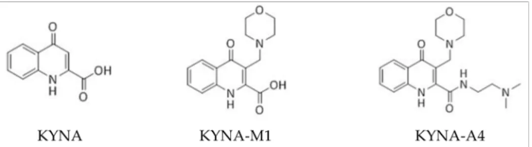Figure 1. Chemical structures of kynurenic acid (KYNA, 4-hydroxyquinoline-2-carboxylic acid) and its amide derivatives (KYNA-M1,  [3-(morpholinomethyl)-4-oxo-1,4-dihydroquinoline-2-carboxylic acid] and KYNA-A4,  [N-(2-(dimethylamino)ethyl)-3-(morpholinomet
