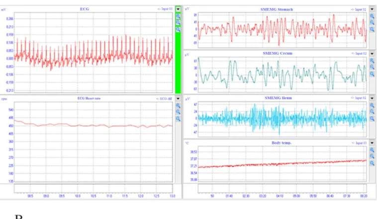 Fig. 4. The signals of ECG and SMEMG measurements in wakeful rats (Study 1). The ECG and the heart rate can be seen online on the left side, while the SMEMG  signals of 3 GI tract segments are shown on the right side together with the body temperature data