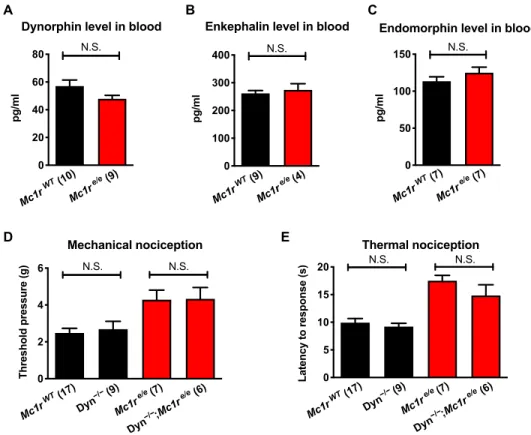 Fig. 3. Low levels of -endorphin are not compensated by other endogenous opioids. (A to C) Plasma levels of dynorphin, enkephalin, and endomorphin are un- un-changed in red versus black mice