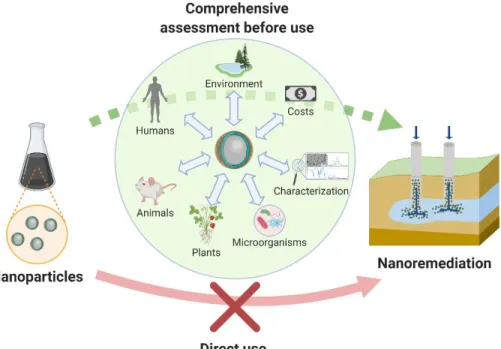 Figure 1. Sustainable and ecosafe nanoremediation. A way forward to overcome current challenges