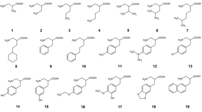 Figure 1. Structure of ß 2 -amino acids 