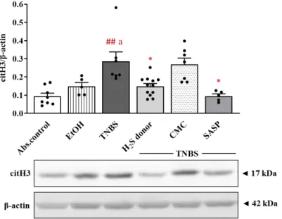 Figure 2. Changes of the expression of PAD4 NETosis marker after H 2 S donor adminis- adminis-tration