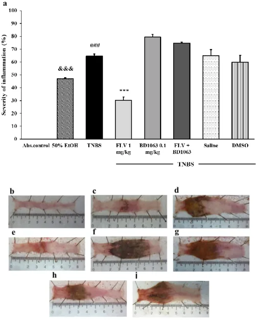 Figure  1.  (a)  Effect  of  the  sigma-1  receptor  (σ1R)  ligands  on  the  severity  of  inflammation  in  2,4,6-trinitrobenzenesulfonic  acid  (TNBS)-induced  colitis