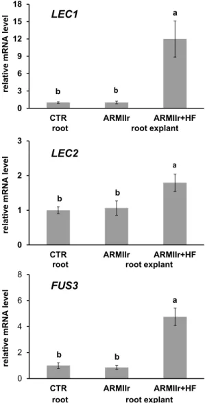Fig. 3    Real-time quantitative PCR analysis of embryogenic gene  expression (LEC1, LEC2 and FUS3) in untreated 7-days-old control  seedling roots as reference (CTR root), in root explants at the time  of 9 days on the high cytokinin ARM IIr medium (ARM I