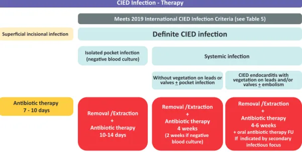 Figure 3: Therapeutic strategies for patients with CIED infections. CIED: cardiac implantable electronic device; FU: follow-up; IE: infective endocarditis.