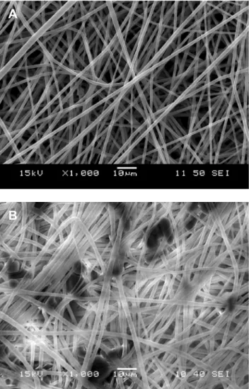 Figure 3 SEM micrographs recorded on the PLA devices studied. A) ﬁber mat, B) compressed disk
