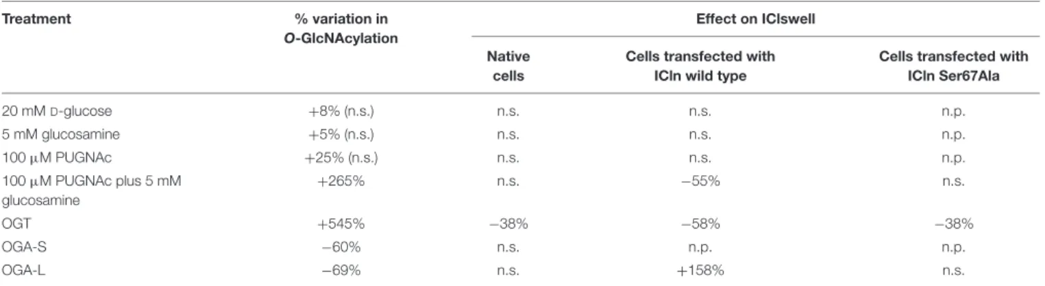 TABLE 1 | Effect of manipulation of O-GlcNAcylation of cellular proteins on the current IClswell