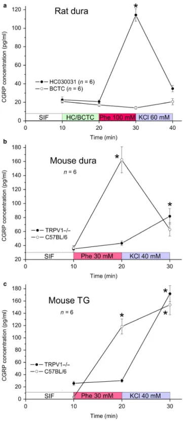 FIGURE 3  CGRP release from the cranial dura mater of rat  (a) and mouse (b) as well as isolated trigeminal ganglia of mouse  (c) determined at 10 min intervals, mean values ± SEM