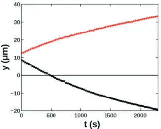 Fig. 3 Typical example of the growth characteristics of the transverse extent of a single particle 462 μ m from the inlet with R = 6 and q V = 3.0 μ L min − 1 