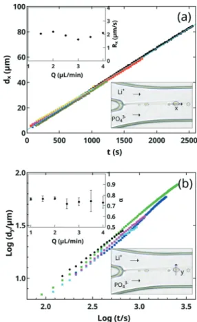 Fig. 5 Stationary concentration profiles of reactants (solid lines) and the reaction quotient (dashed line) at position x = 500 μ m with R = 6 and [PO 4 3− ] = 0.1 M (a)