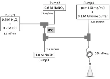 Figure  1.  Experimental  setup  of  the  preparation  of  peroxynitrite  and  its  reaction  with  the  hydroxycinnamates of methyl‐p‐coumarate (pcm) or methyl‐caffeate (cm). 